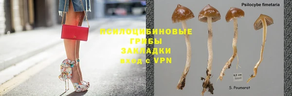 каннабис Карпинск